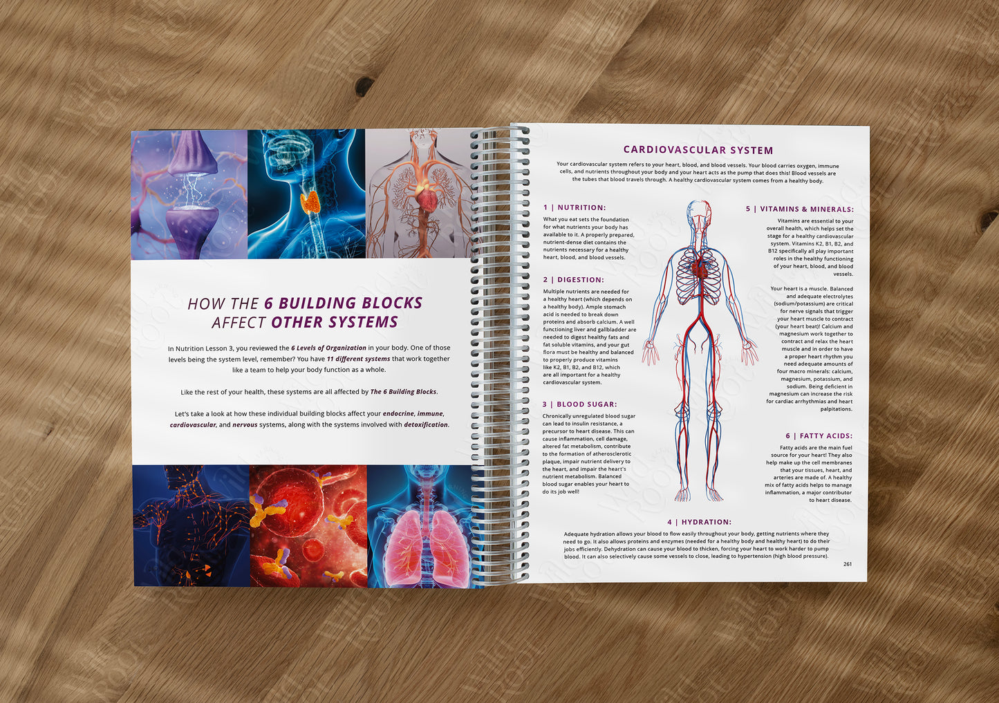 Functional Nutrition Textbook