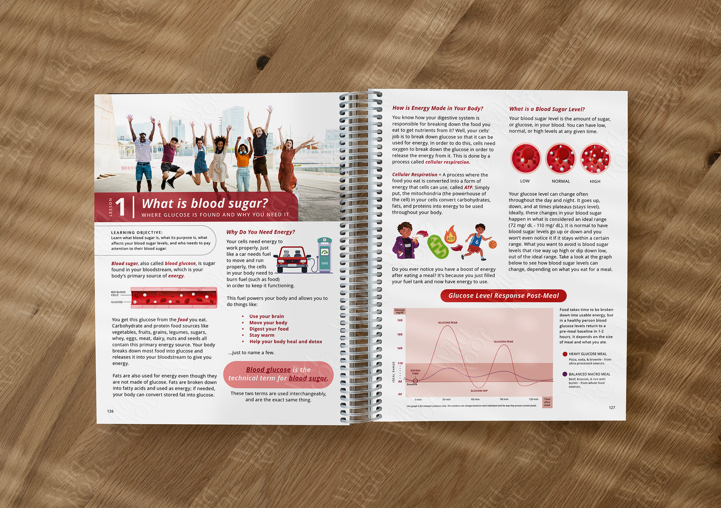 Functional Nutrition Textbook - Grades 6-12