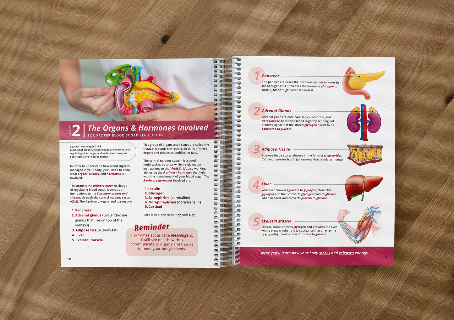 Functional Nutrition Textbook - Grades 6-12