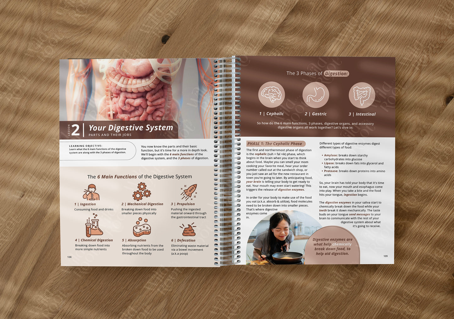 Functional Nutrition Textbook - Grades 6-12