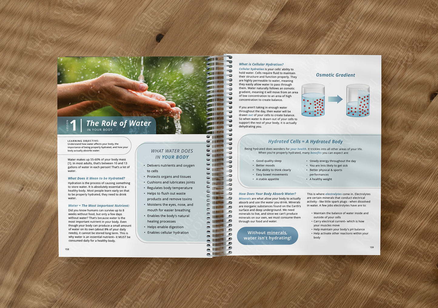 Functional Nutrition Textbook - Grades 6-12