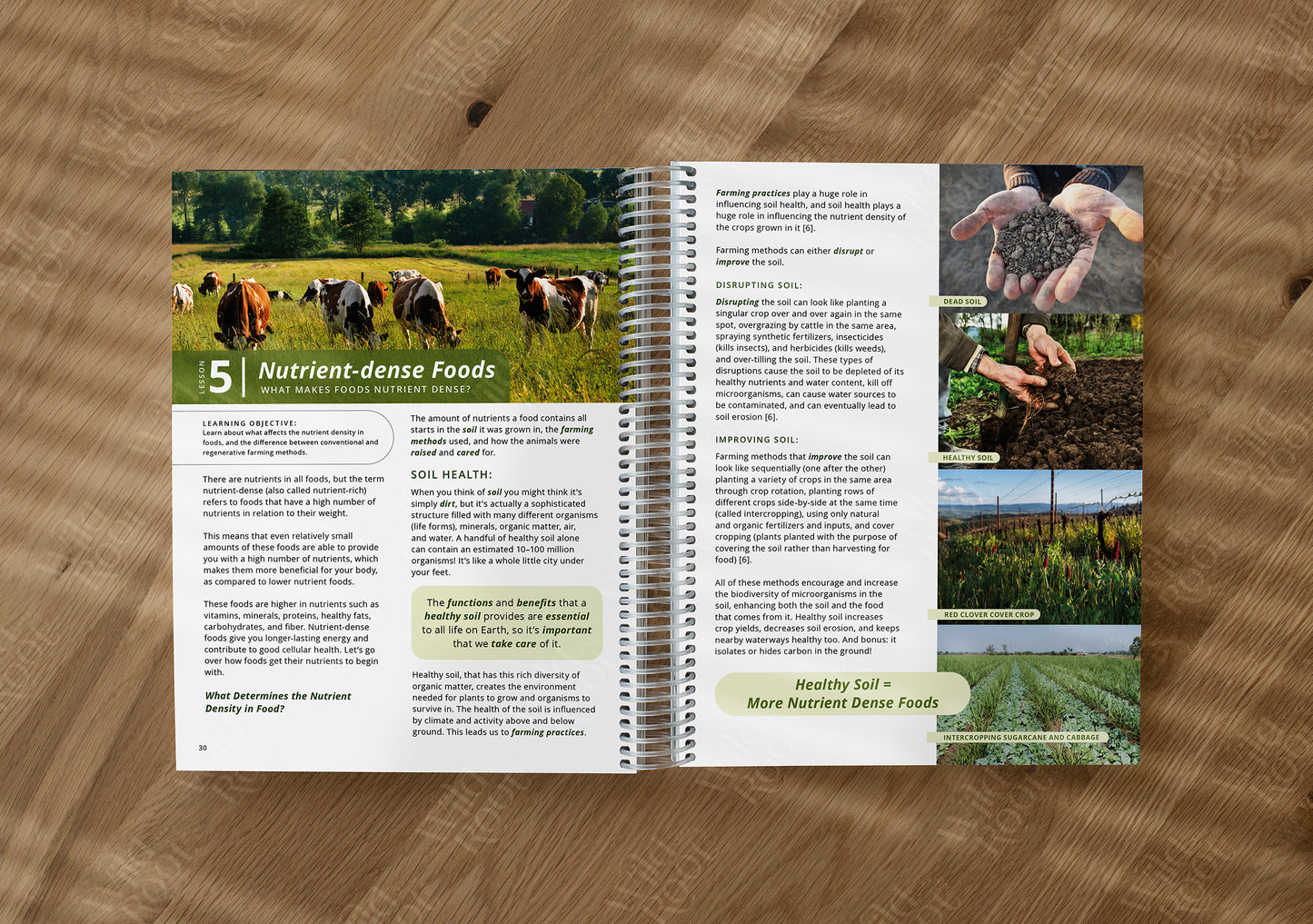 Functional Nutrition Textbook