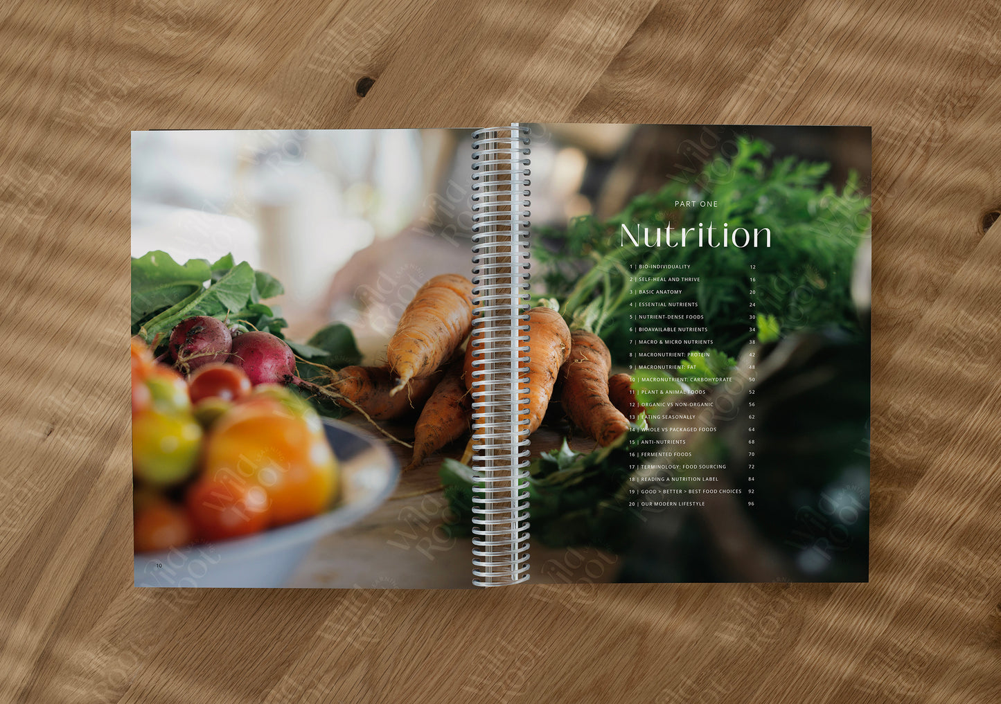 Functional Nutrition Textbook - Grades 6-12