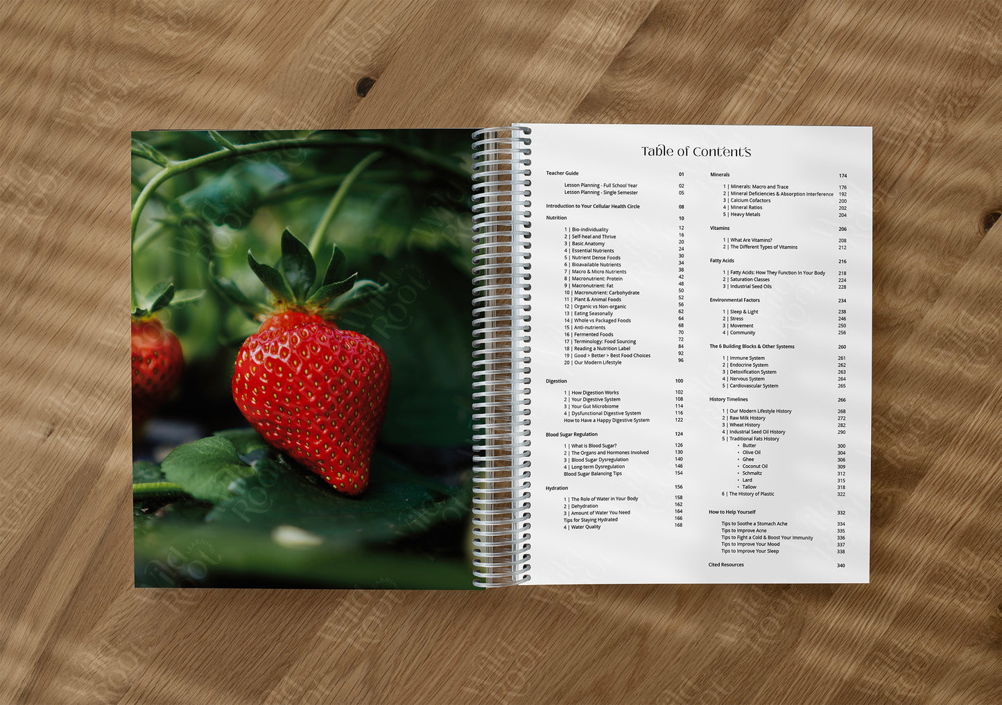 Functional Nutrition Textbook - Grades 6-12